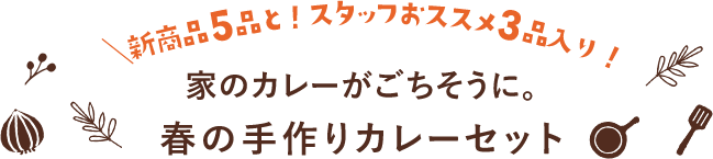 新商品５品と！スタッフおススメ3品入り！家のカレーがごちそうに。春の手作りカレーセット