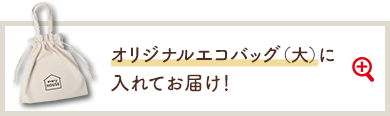 オリジナルエコバック（大）に入れてお届け！