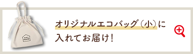 オリジナルエコバック（小）に入れてお届け！