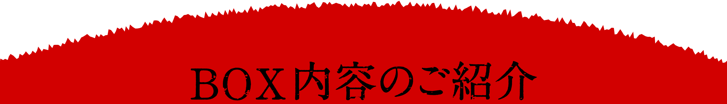 BOXの内容のご紹介