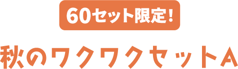 60セット限定! 秋のワクワクセットA