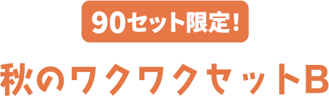 90セット限定! 秋のワクワクセットB