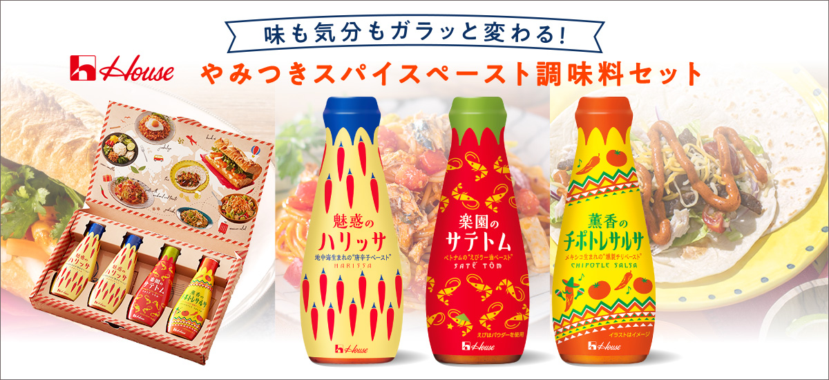 やみつき スパイスペースト 調味料セット